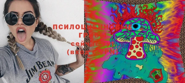 ПСИЛОЦИБИНОВЫЕ ГРИБЫ Балабаново