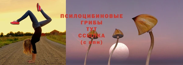 гидра Балахна