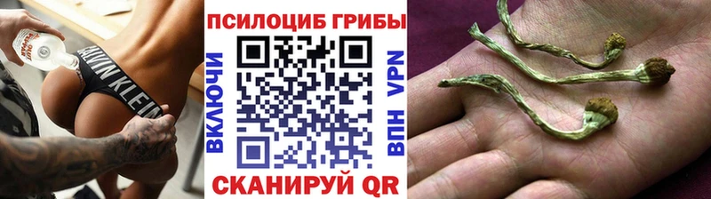 Псилоцибиновые грибы ЛСД  omg как войти  Афипский 